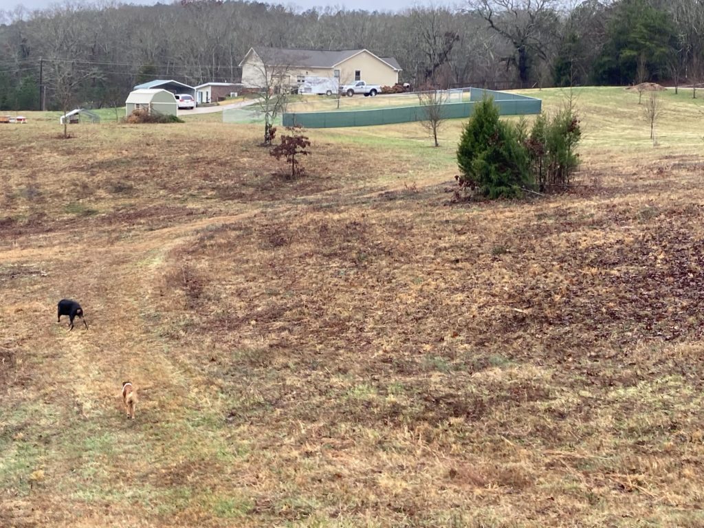 Field with house in the distance.